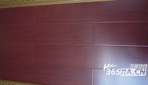 建材直通車(chē)再度發(fā)力，華東建材城精品特價(jià)大放送引領(lǐng)消費(fèi)新熱潮